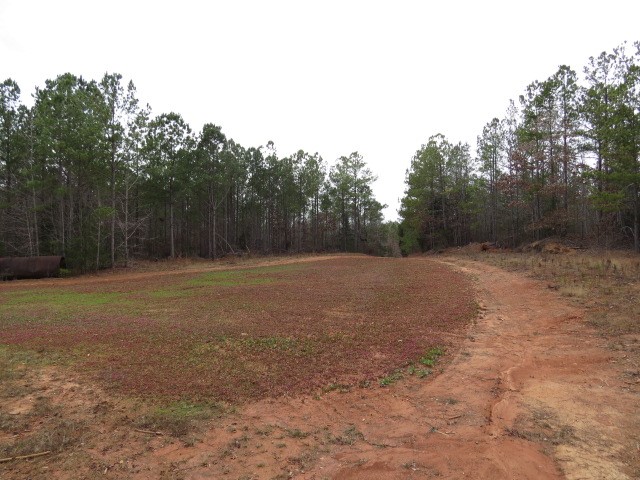0 Free Bridge Road Ware Shoals, SC 29692 - Photo 33 of 34