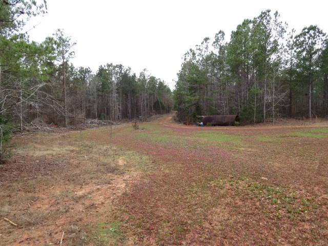 0 Free Bridge Road Ware Shoals, SC 29692 - Photo 34 of 34