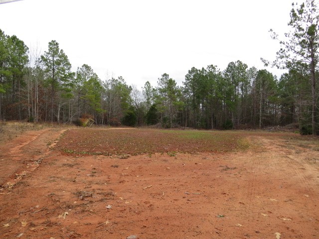 0 Free Bridge Road Ware Shoals, SC 29692 - Photo 5 of 34