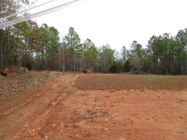 0 Free Bridge Road Ware Shoals, SC 29692 - Photo 6 of 34