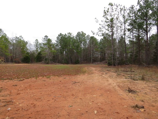0 Free Bridge Road Ware Shoals, SC 29692 - Photo 7 of 34