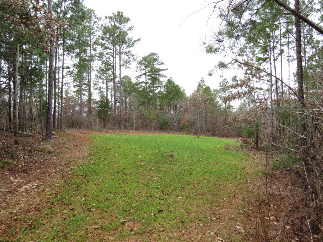 0 Free Bridge Road Ware Shoals, SC 29692 - Photo 8 of 34