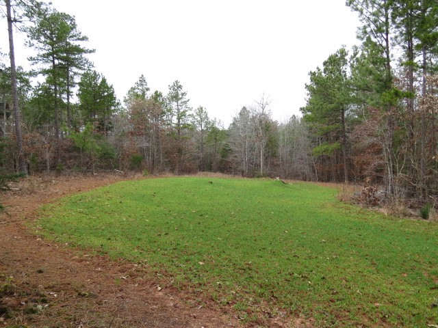 0 Free Bridge Road Ware Shoals, SC 29692 - Photo 9 of 34
