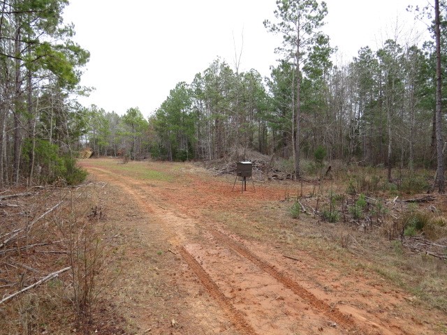 0 Free Bridge Road Ware Shoals, SC 29692 - Photo 10 of 34