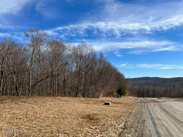 0 Ridgewood Lane Equinunk, PA 18417 - Photo 6 of 22 06 Down the road