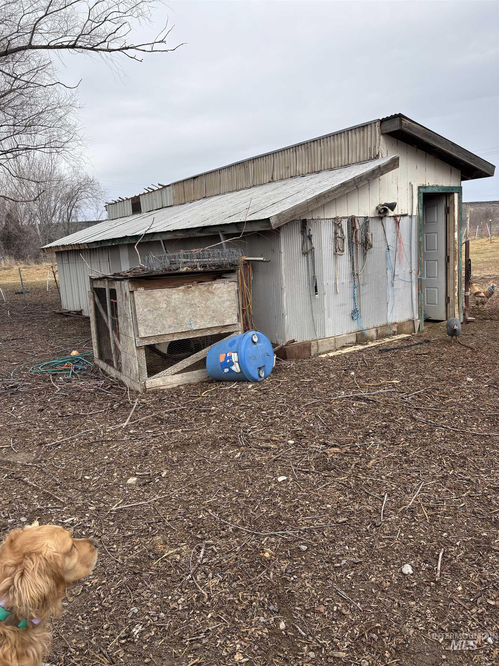 8241 Butte Road Melba, ID 83641 - Photo 15 of 21