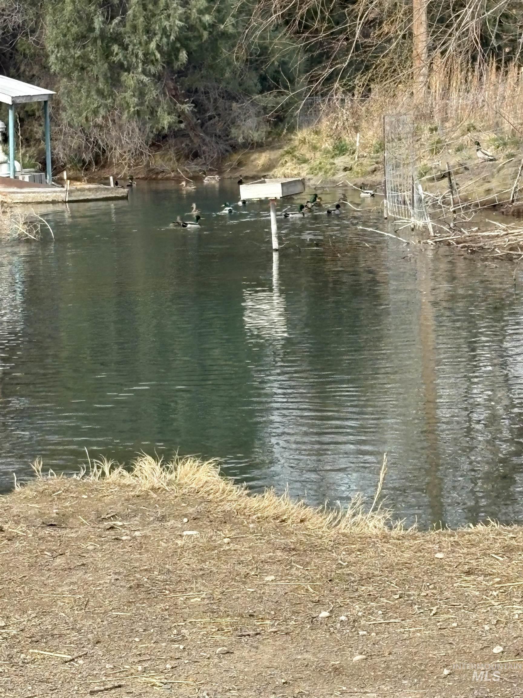 8241 Butte Road Melba, ID 83641 - Photo 19 of 21