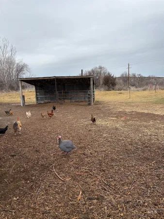 $875,000 | 8241 Butte Road, Melba, ID 83641