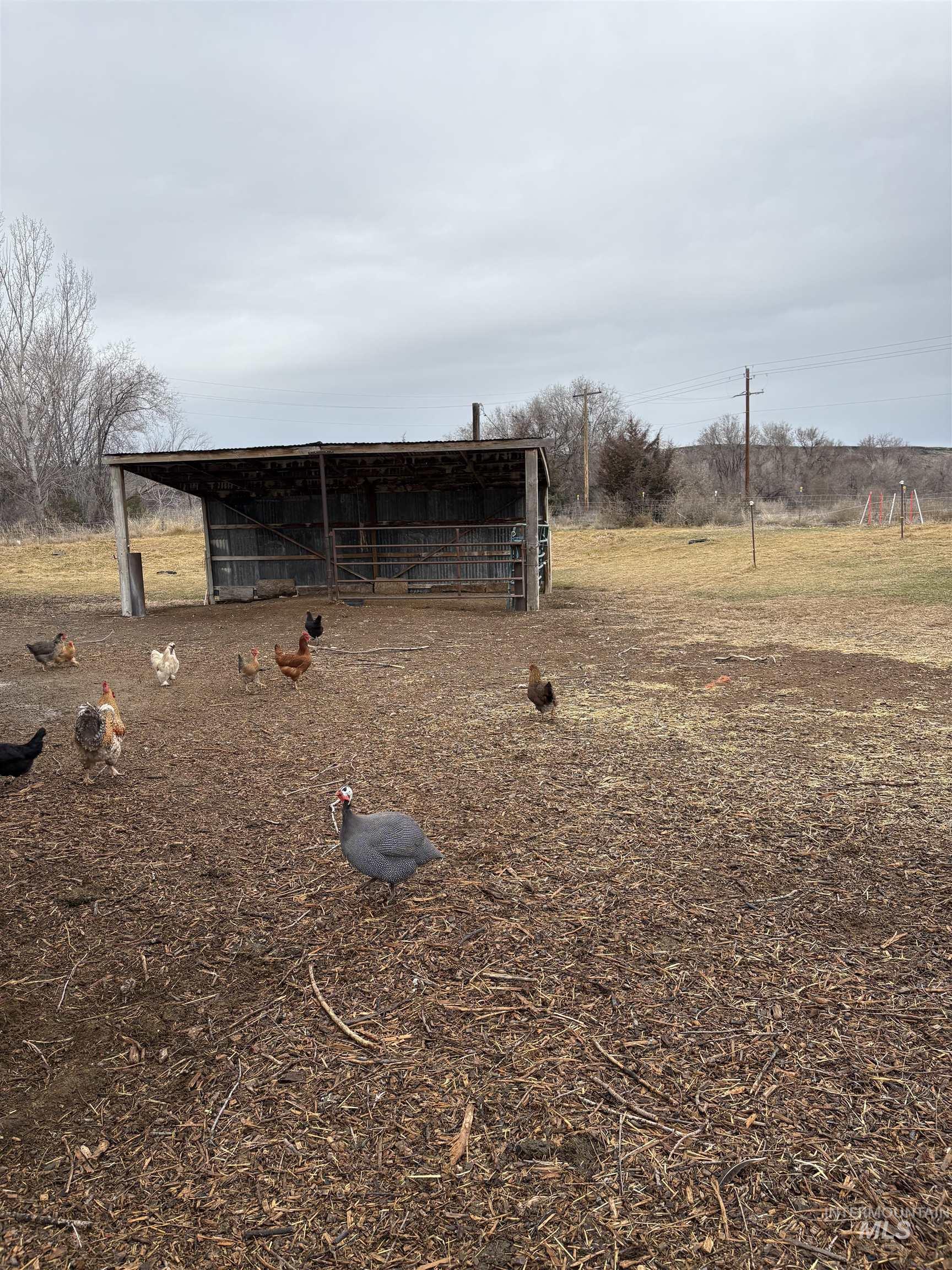 8241 Butte Road Melba, ID 83641 - Photo 2 of 21 View of outdoor structure