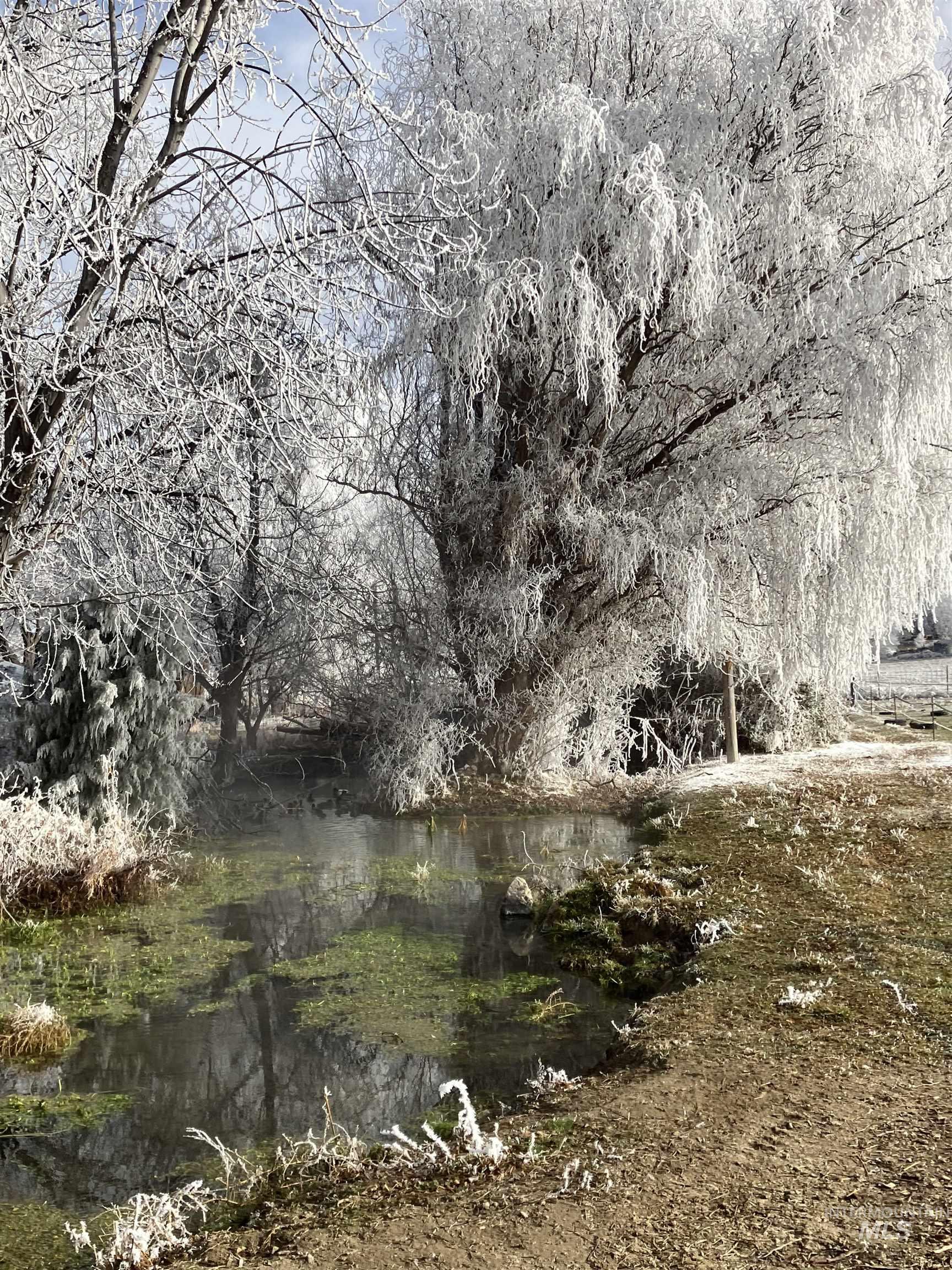 8241 Butte Road Melba, ID 83641 - Photo 9 of 21 Winter
