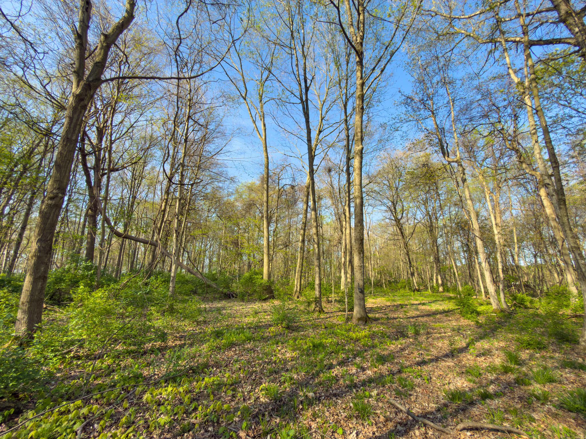 9874 Cincinnati-Zanesville Road Southwest Amanda, OH 43102 - Photo 15 of 50 cinci-zane rd sw-15