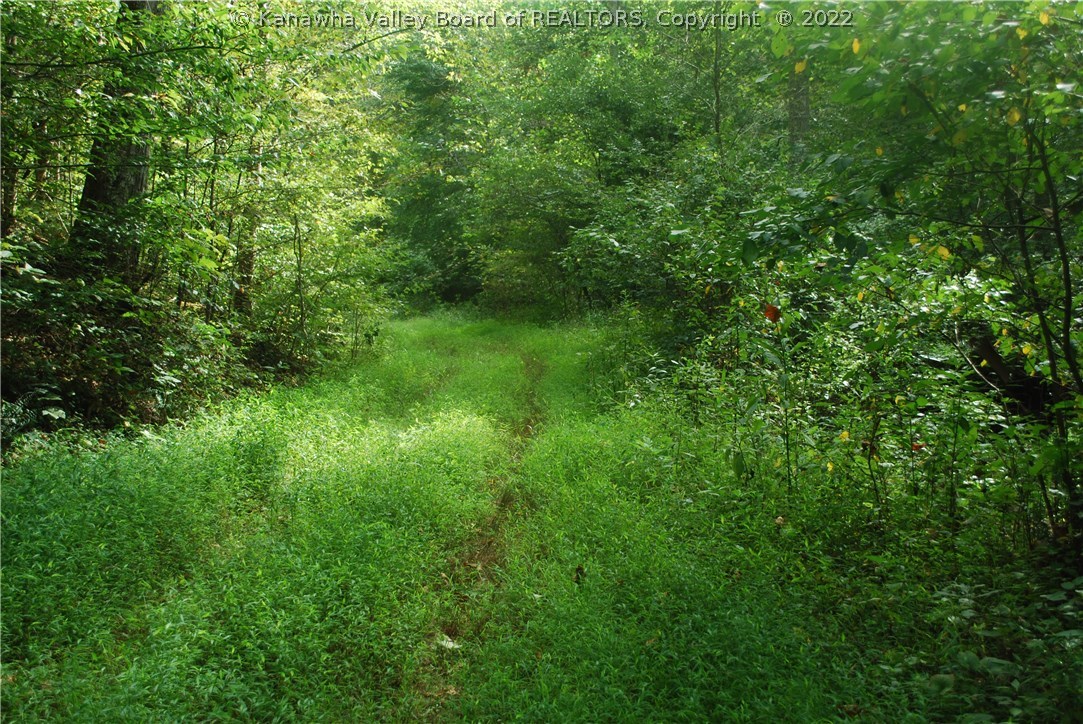 0 Jerrys Run Road Fraziers Bottom, WV 25082 - Photo 1 of 8 Gallery Image 1