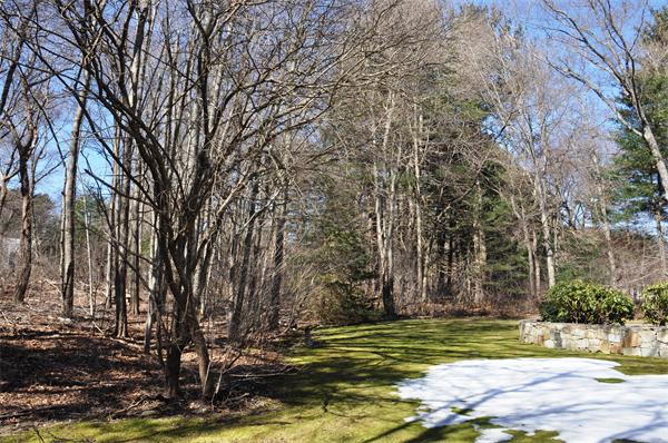 83 Juniper Ridge Road Westwood, MA 02090 - Photo 3 of 12 Gallery Image 3