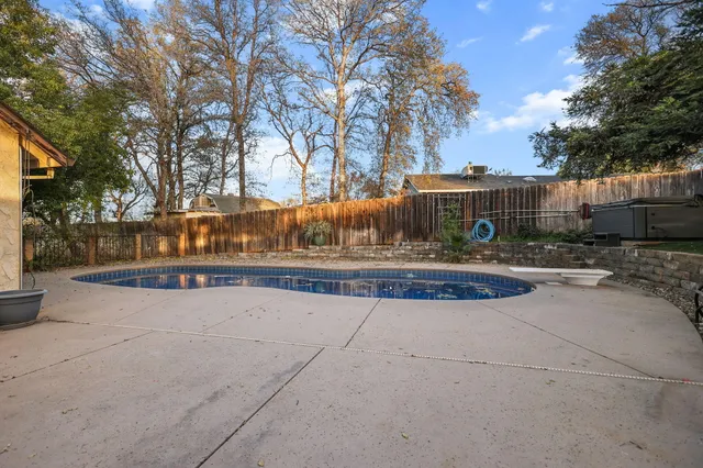a view of yard with large tree