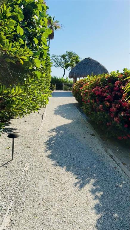 848 Evergreen Way Longboat Key, FL 34228 - Photo 52 of 66 a view of a backyard of the house
