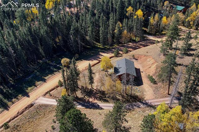 1264 Ridge Road Divide, CO 80814 - Photo 36 of 41