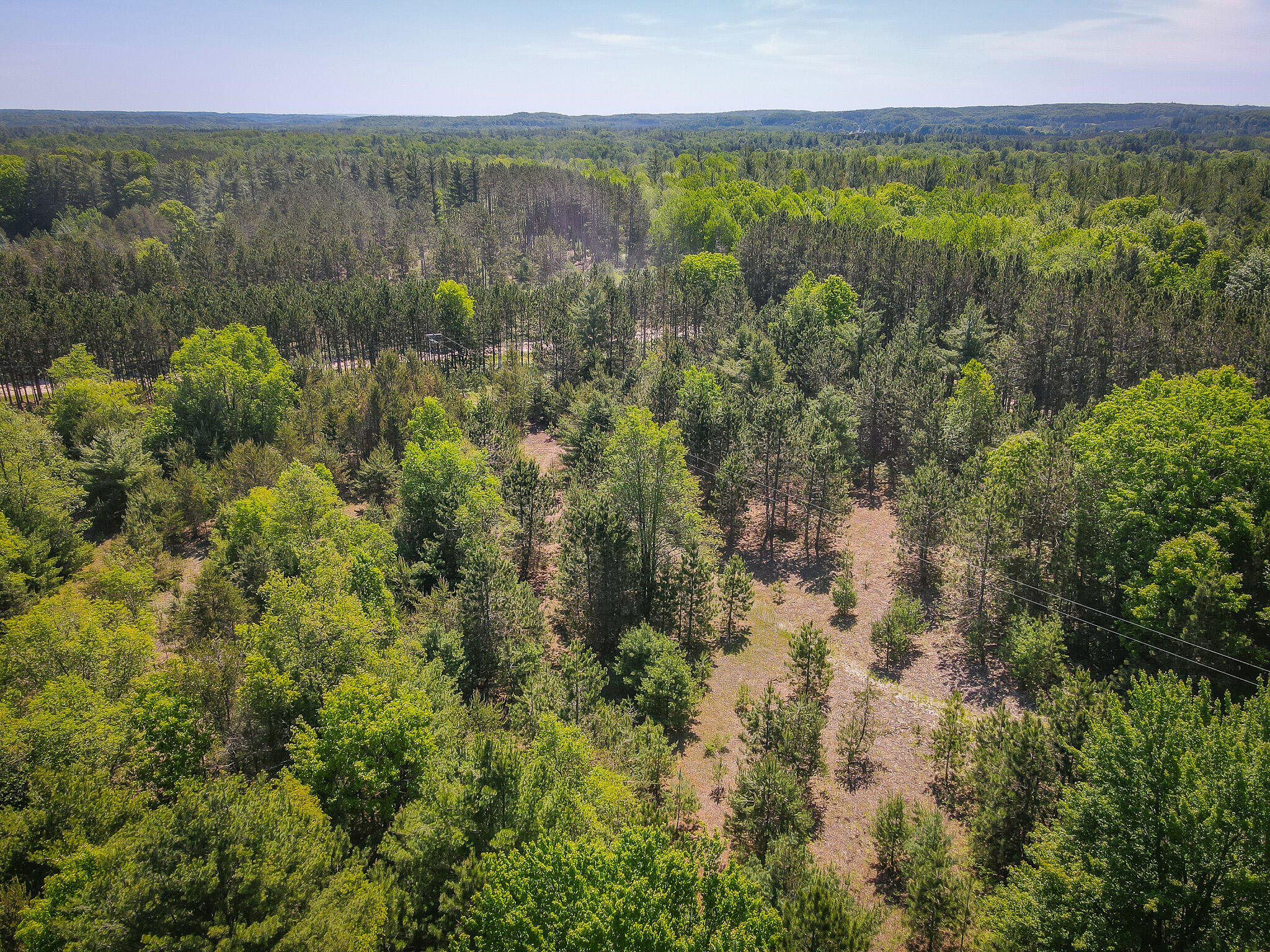 Parcel B Makinen Road Kaleva, MI 49645 - Photo 19 of 38 DJI_0291
