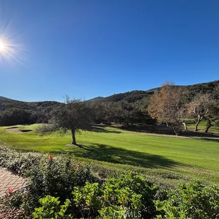 a view of a grassy area with an trees