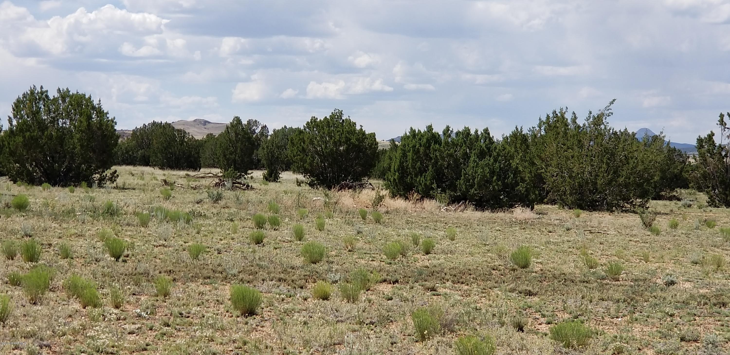 E Antelope Run Road Ash Fork, AZ 86320 - Photo 11 of 57 20190618_144839