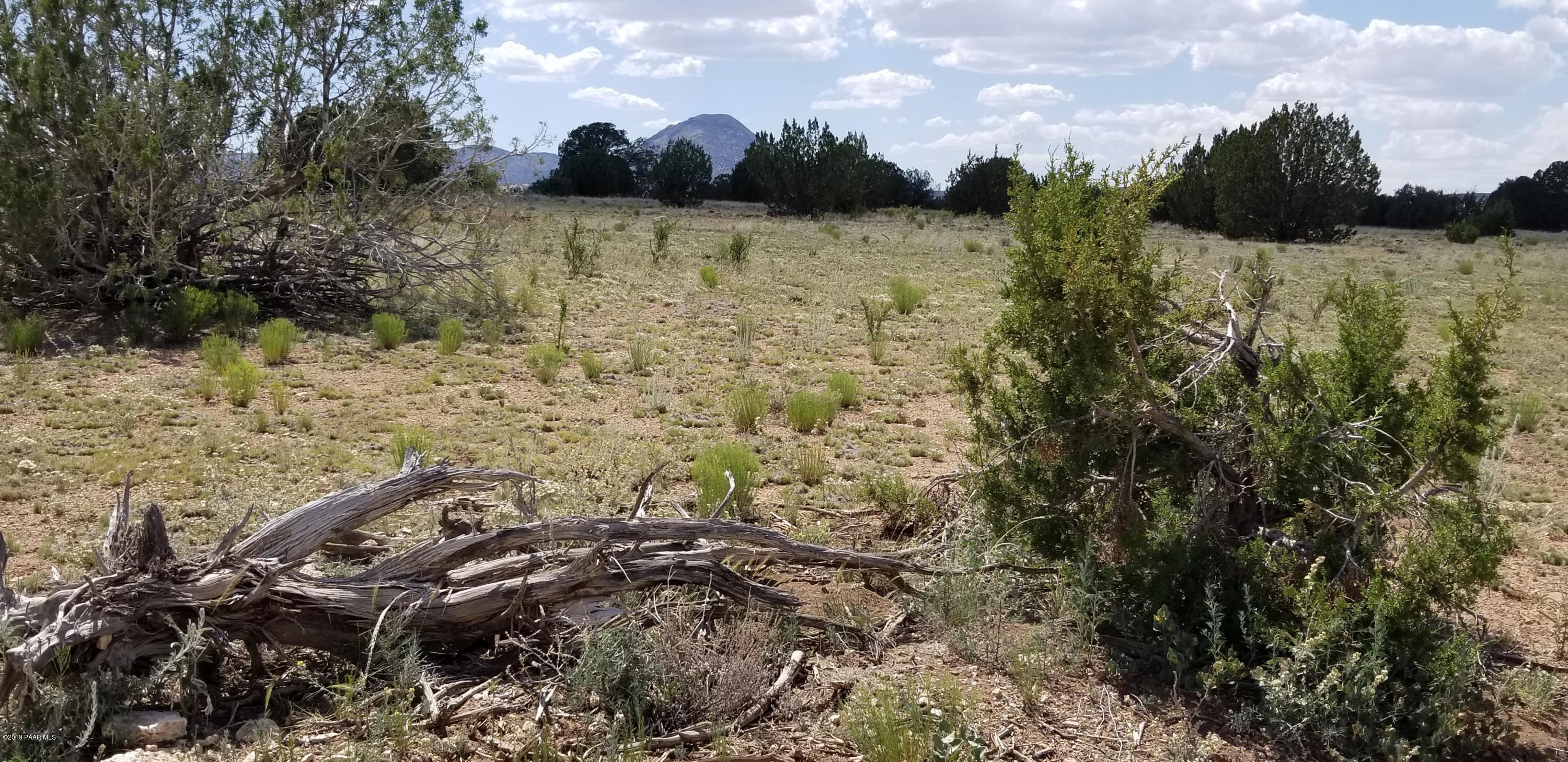 E Antelope Run Road Ash Fork, AZ 86320 - Photo 12 of 57 20190618_144913