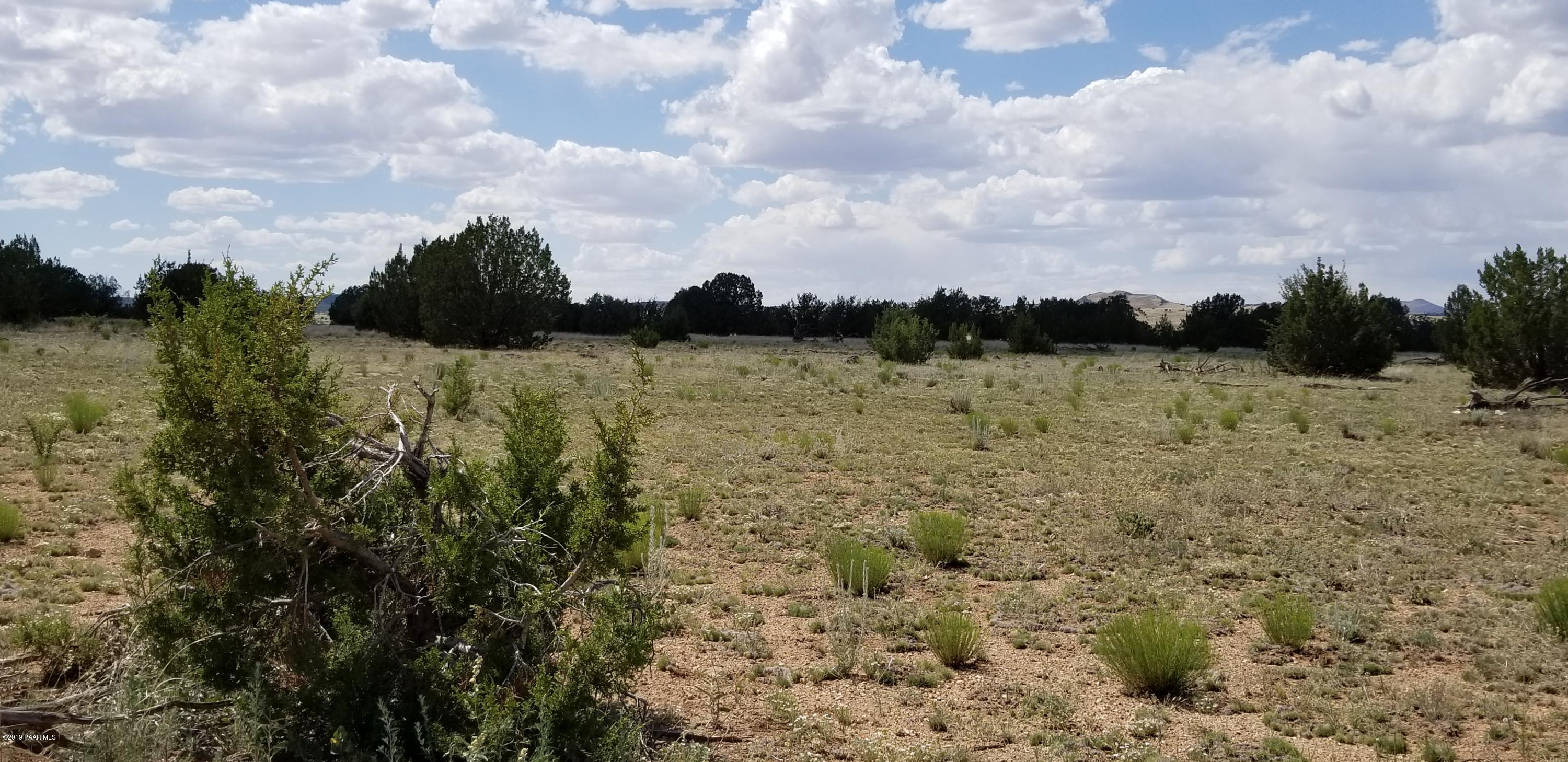 E Antelope Run Road Ash Fork, AZ 86320 - Photo 13 of 57 20190618_144916