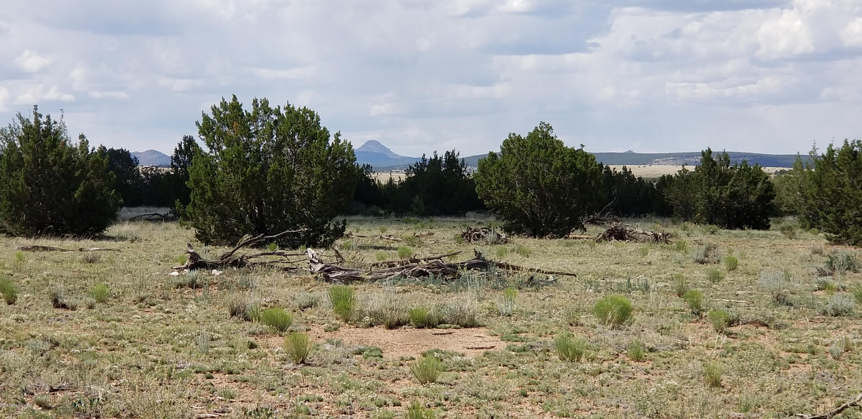 E Antelope Run Road Ash Fork, AZ 86320 - Photo 14 of 57 20190618_144919