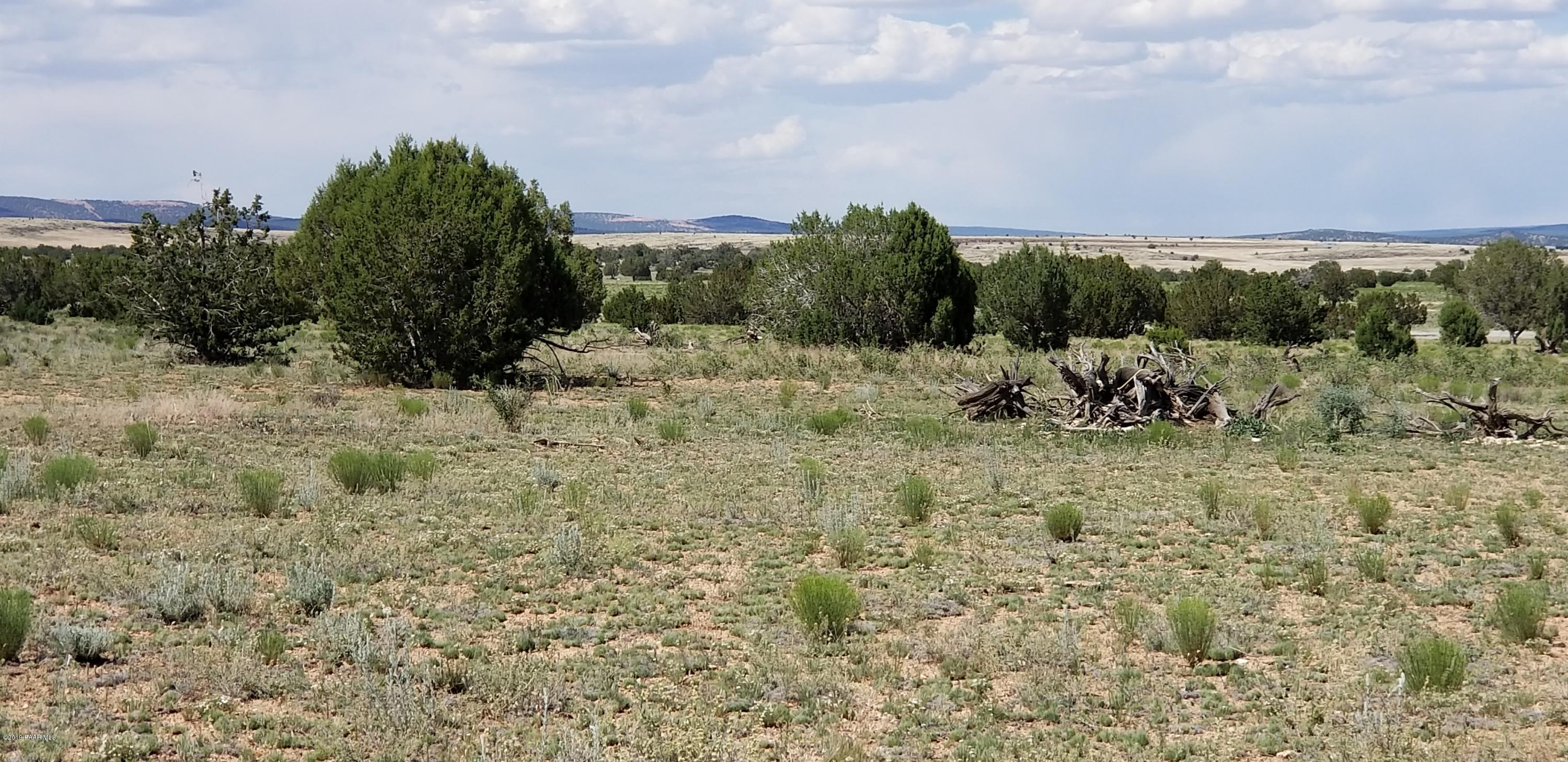 E Antelope Run Road Ash Fork, AZ 86320 - Photo 15 of 57 20190618_144922