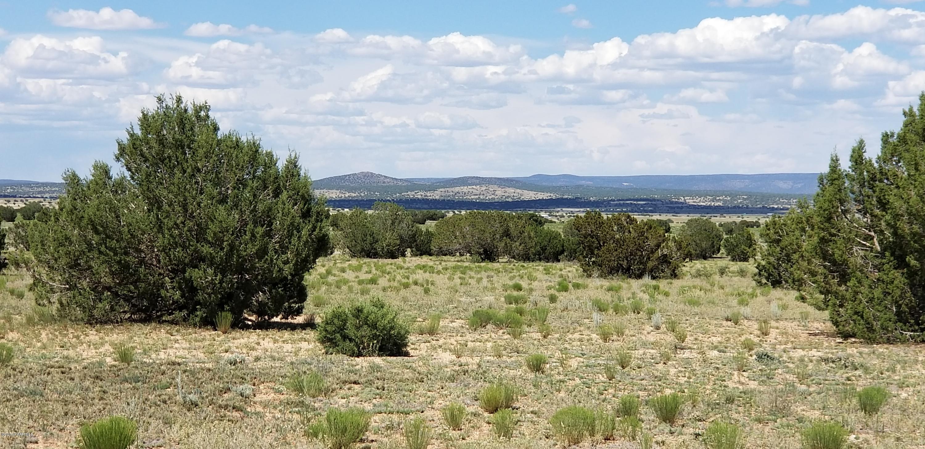 E Antelope Run Road Ash Fork, AZ 86320 - Photo 16 of 57 20190618_144925