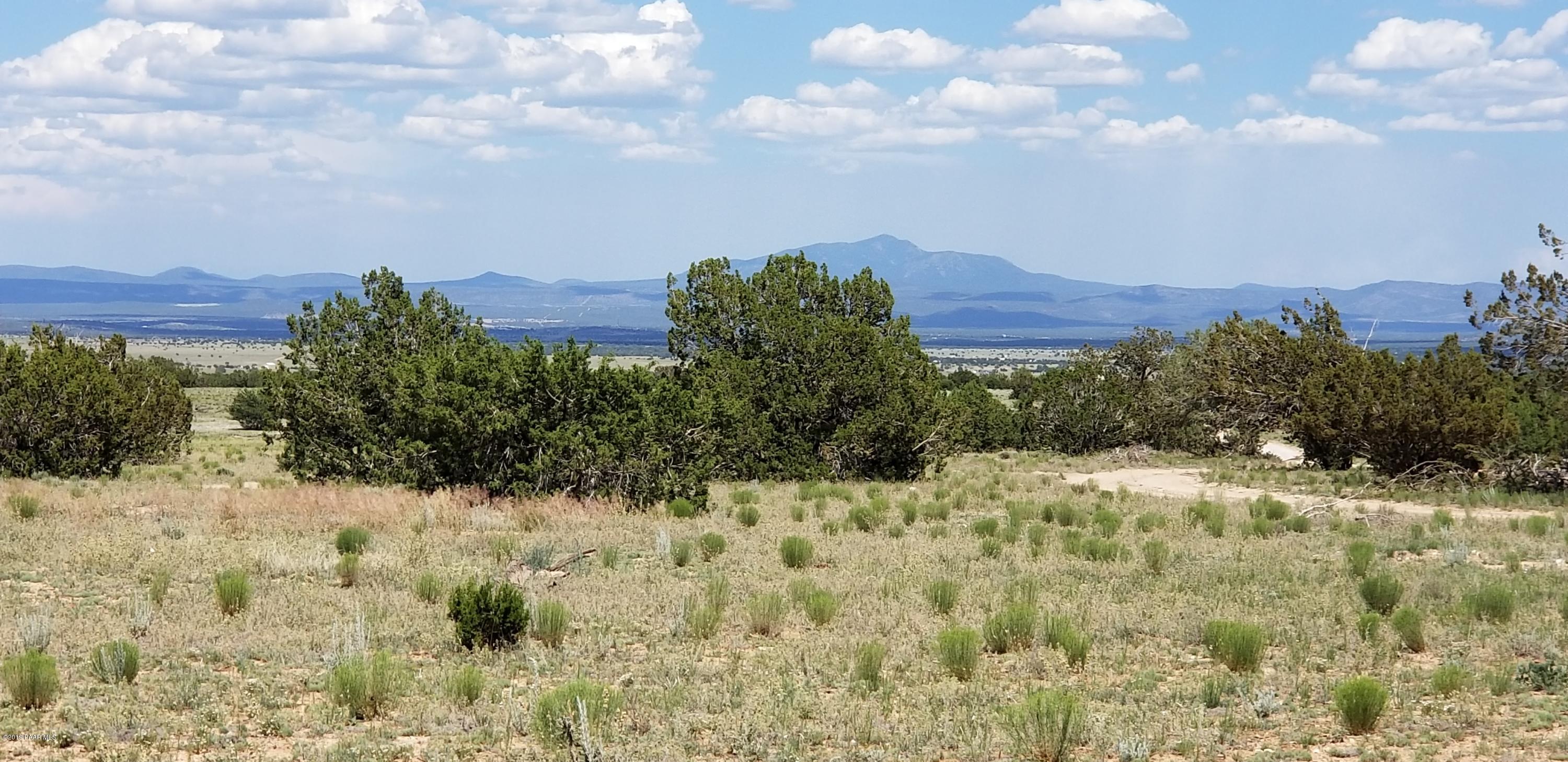 E Antelope Run Road Ash Fork, AZ 86320 - Photo 17 of 57 20190618_144929
