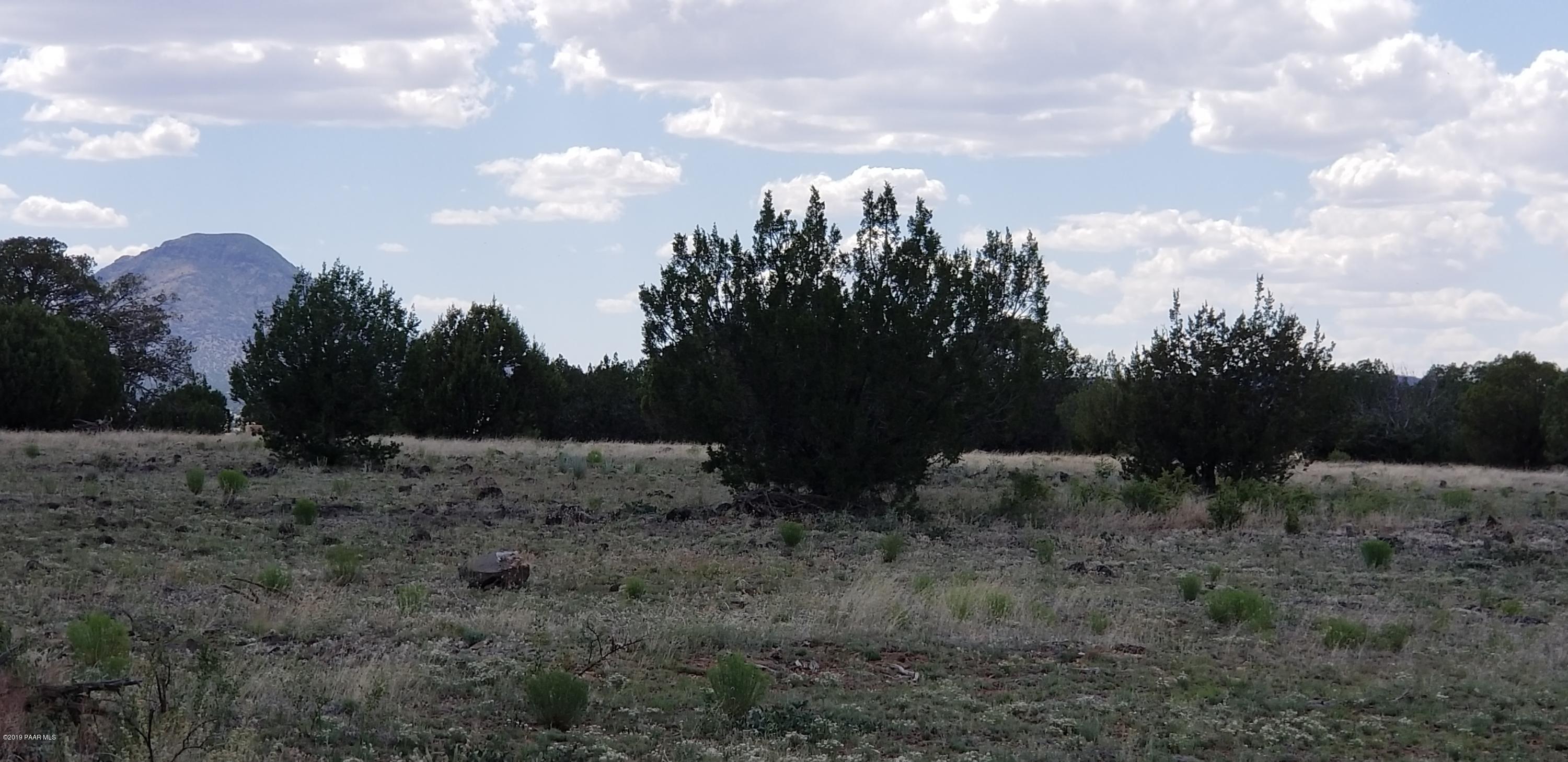 E Antelope Run Road Ash Fork, AZ 86320 - Photo 18 of 57 20190618_145005