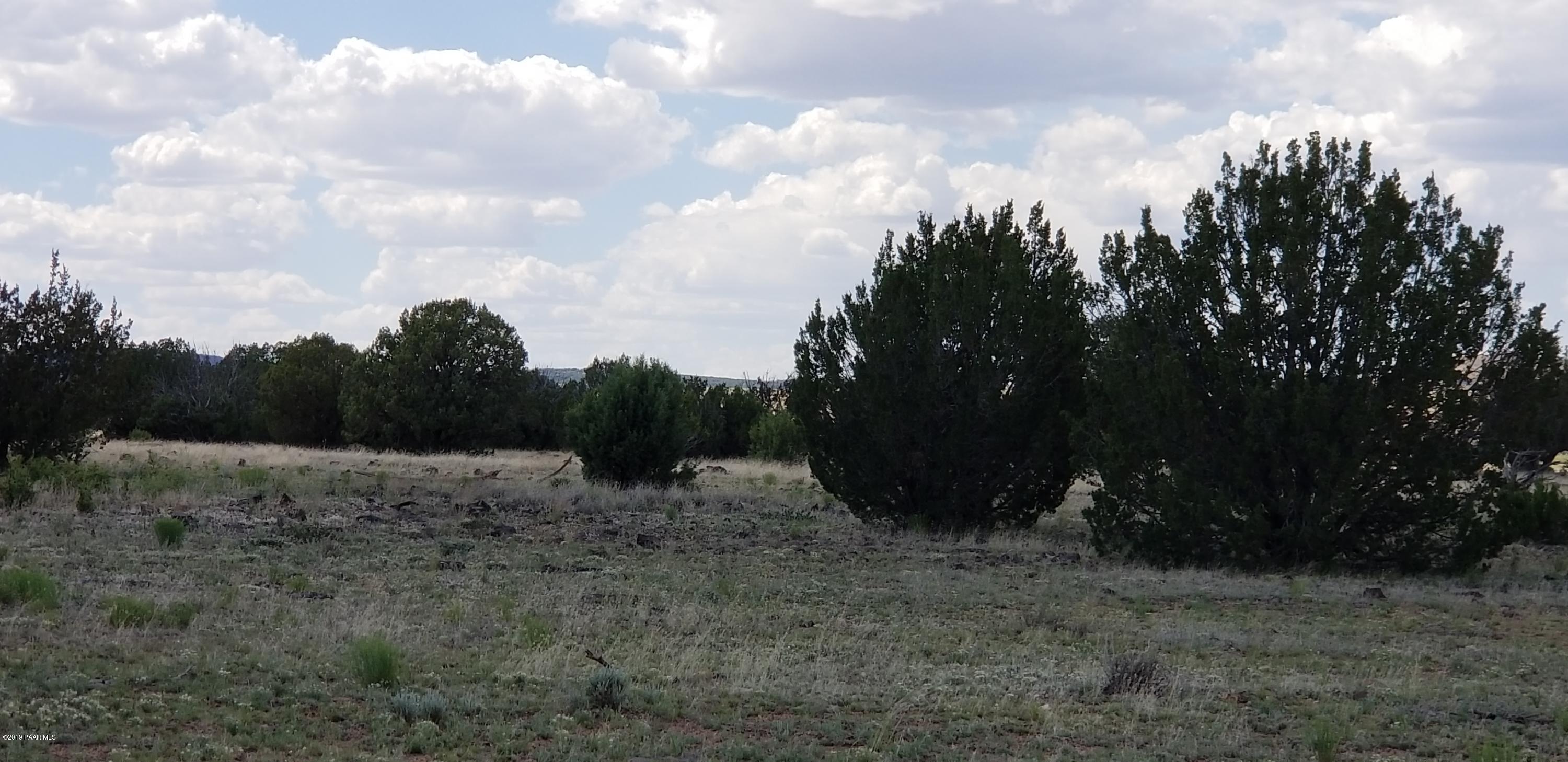 E Antelope Run Road Ash Fork, AZ 86320 - Photo 19 of 57 20190618_145007