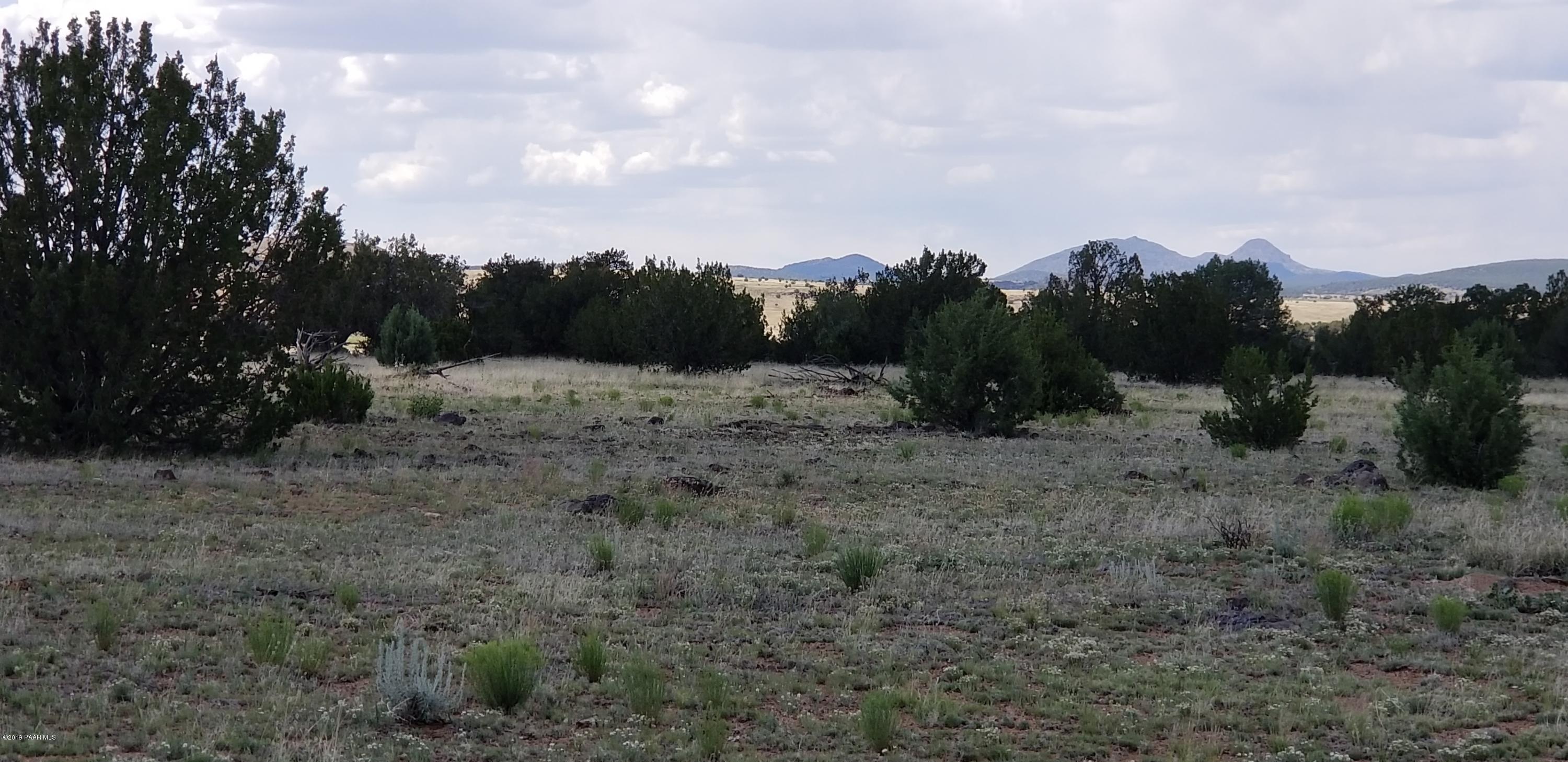E Antelope Run Road Ash Fork, AZ 86320 - Photo 20 of 57 20190618_145009