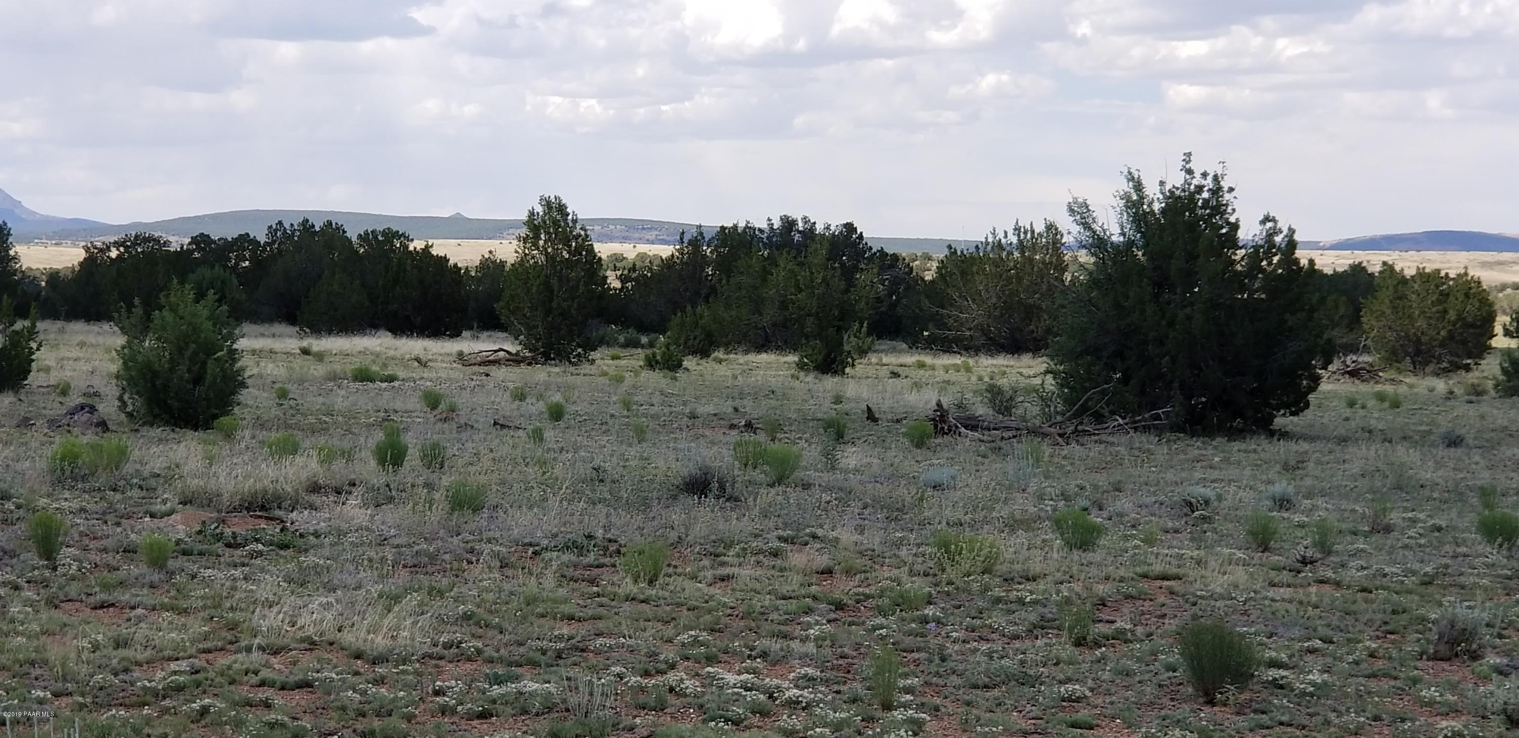 E Antelope Run Road Ash Fork, AZ 86320 - Photo 21 of 57 20190618_145011