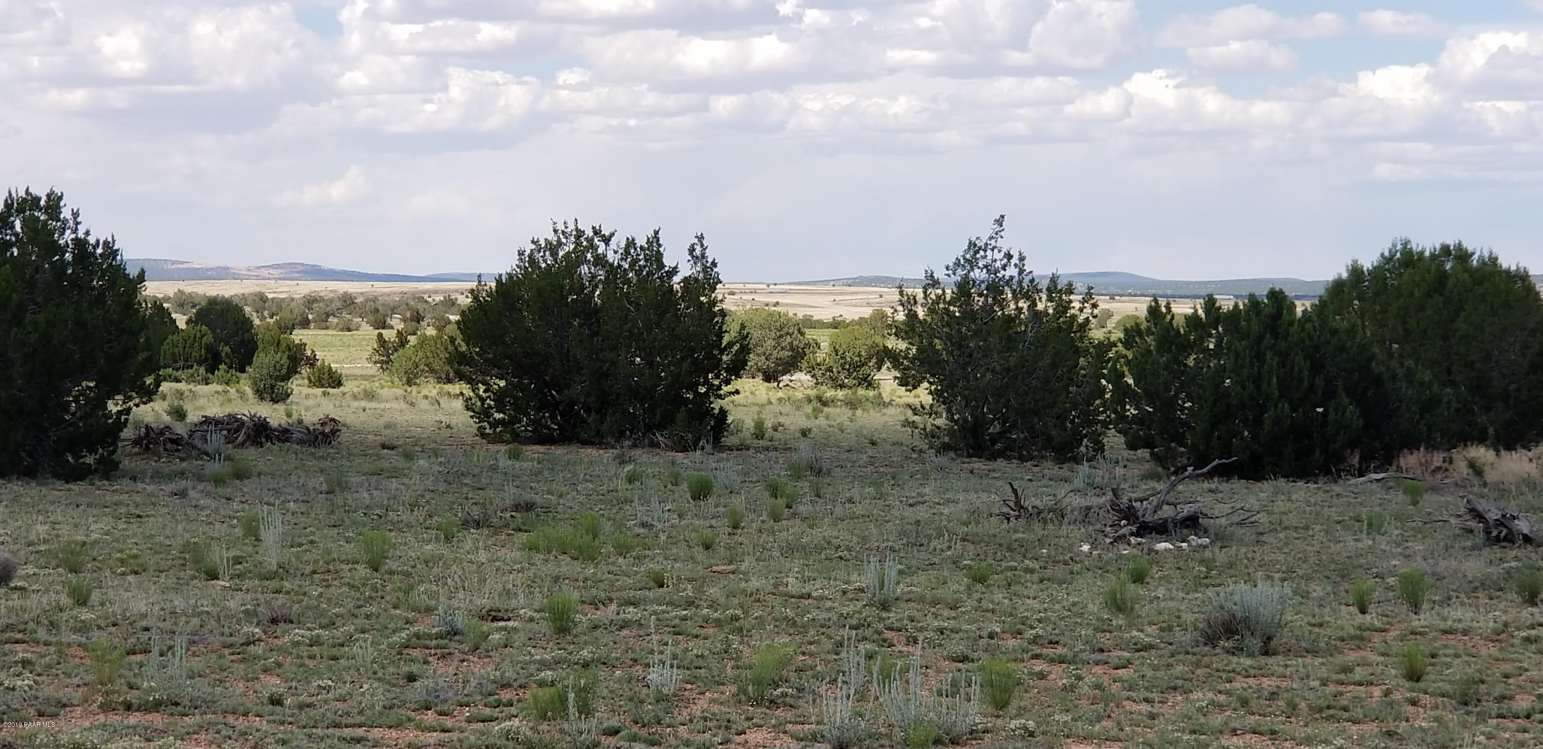 E Antelope Run Road Ash Fork, AZ 86320 - Photo 22 of 57 20190618_145014