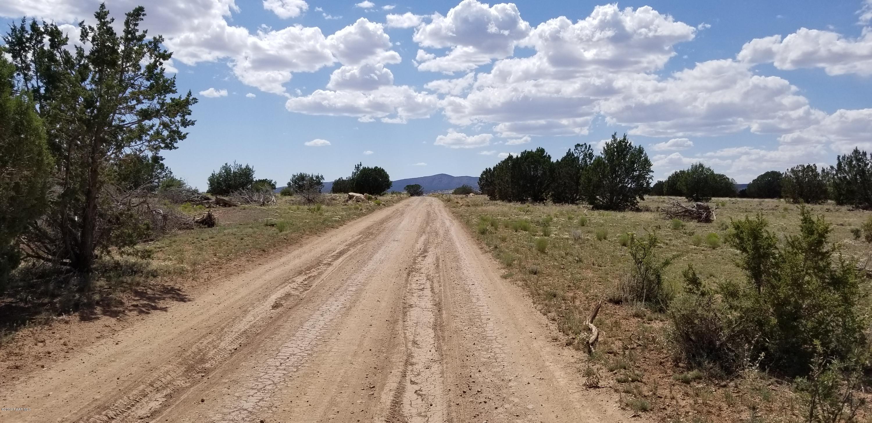 E Antelope Run Road Ash Fork, AZ 86320 - Photo 23 of 57 20190618_145048