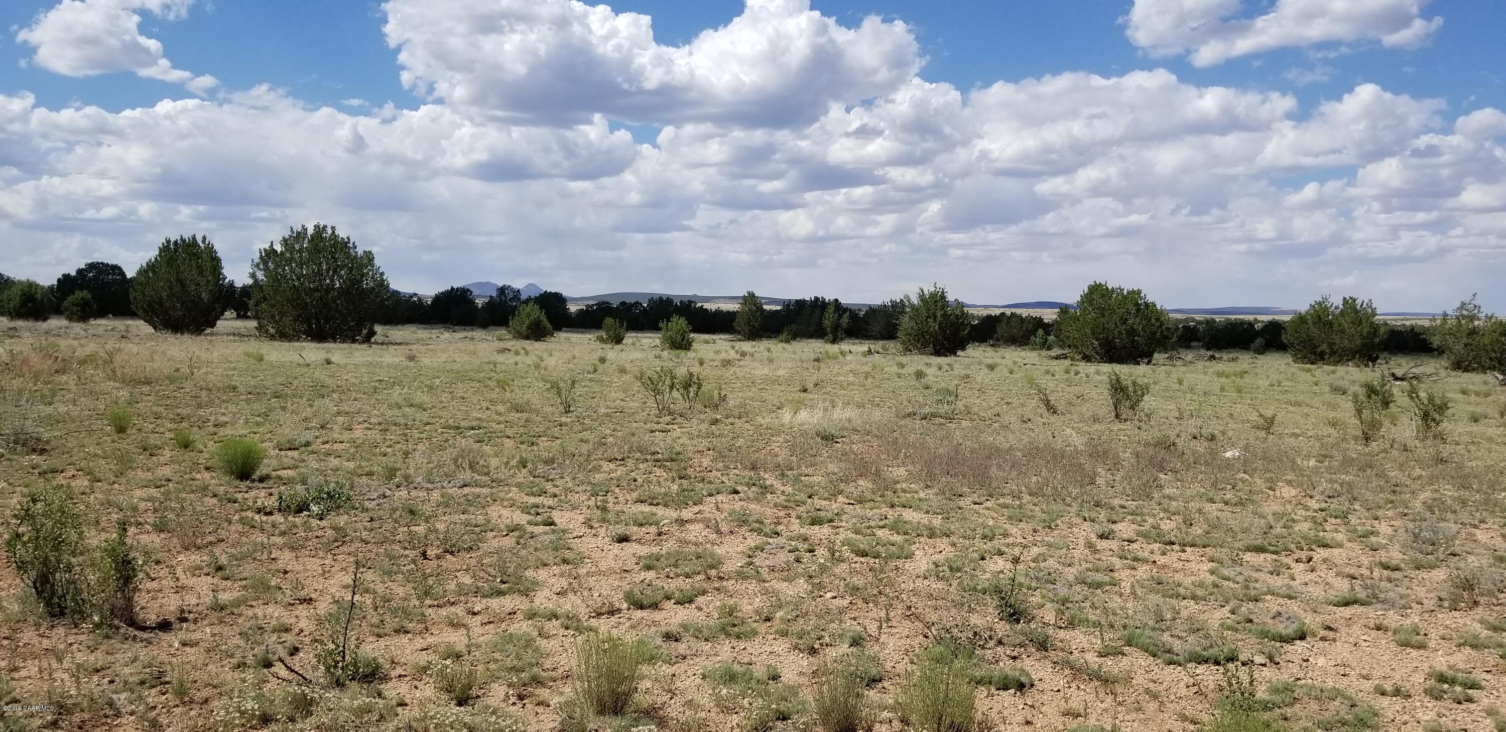 E Antelope Run Road Ash Fork, AZ 86320 - Photo 25 of 57 20190618_145056