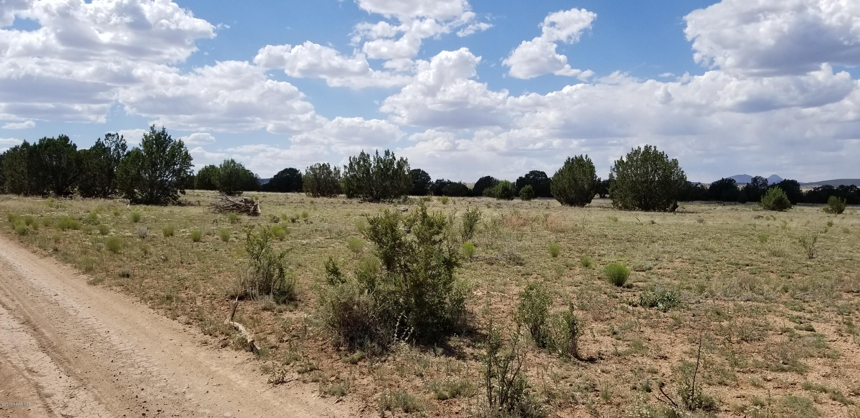 E Antelope Run Road Ash Fork, AZ 86320 - Photo 26 of 57 20190618_145059