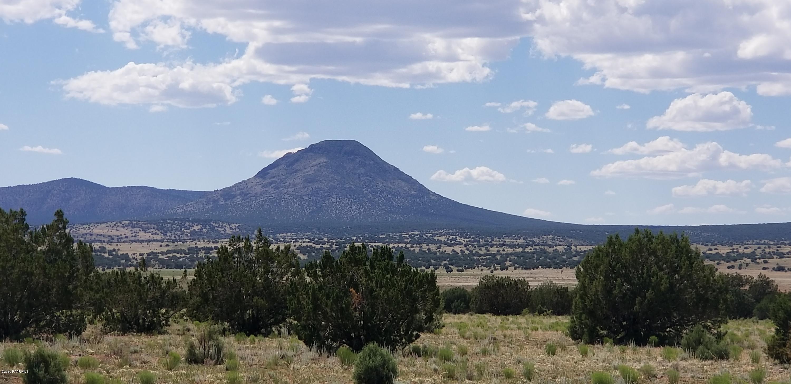 E Antelope Run Road Ash Fork, AZ 86320 - Photo 27 of 57 20190618_145349