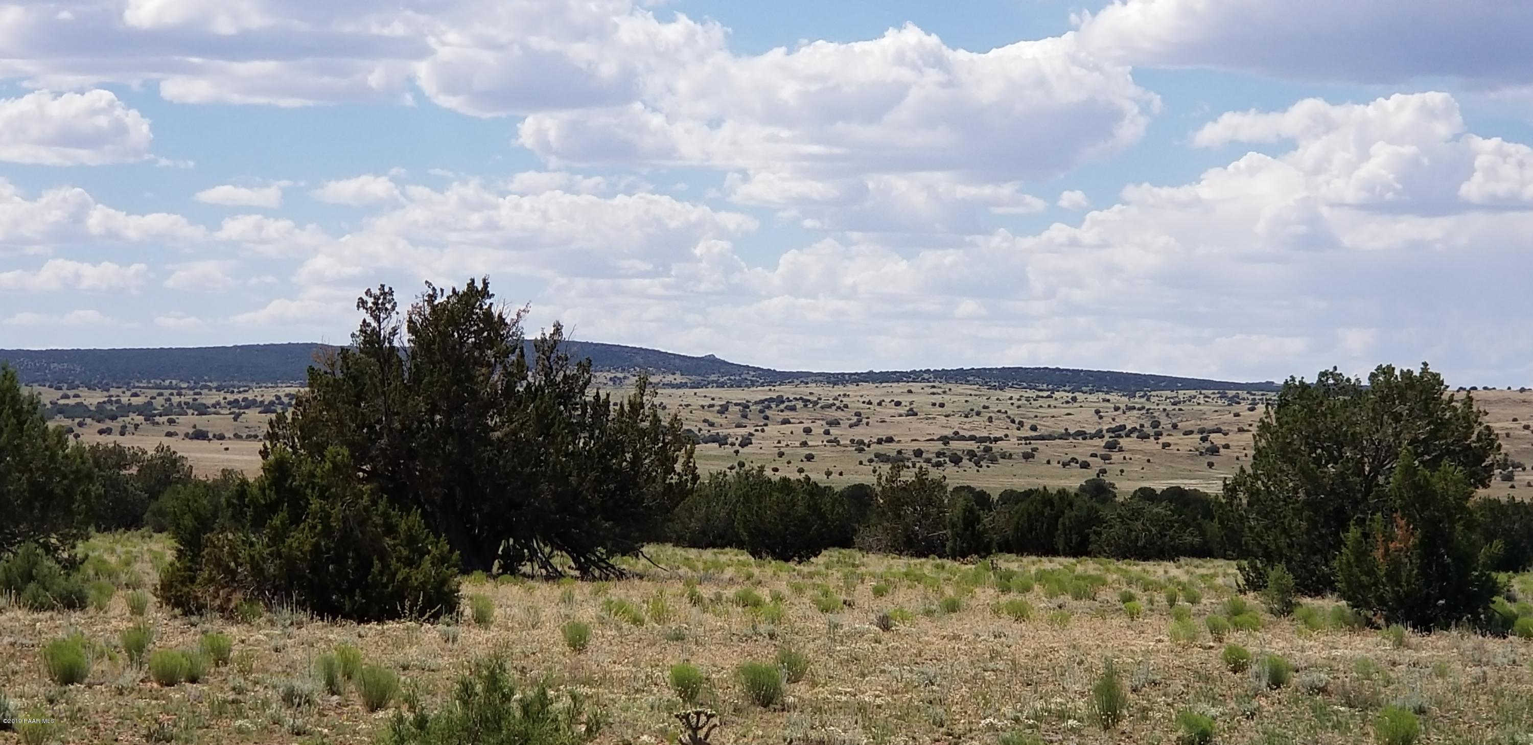 E Antelope Run Road Ash Fork, AZ 86320 - Photo 28 of 57 20190618_145353