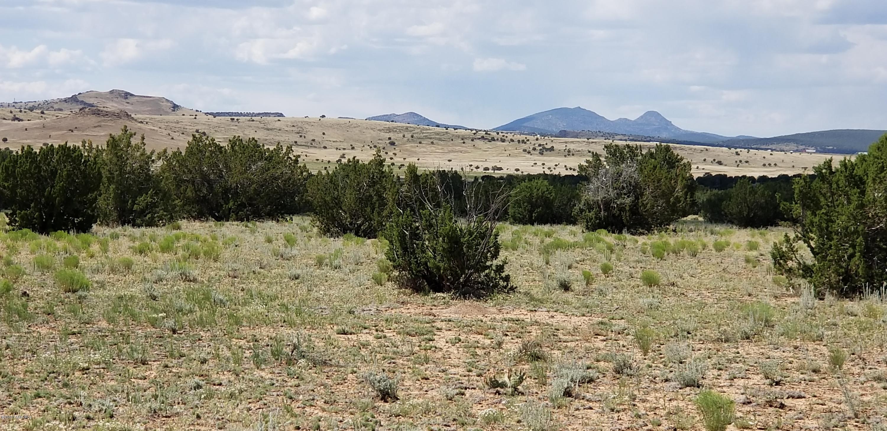 E Antelope Run Road Ash Fork, AZ 86320 - Photo 29 of 57 20190618_145356