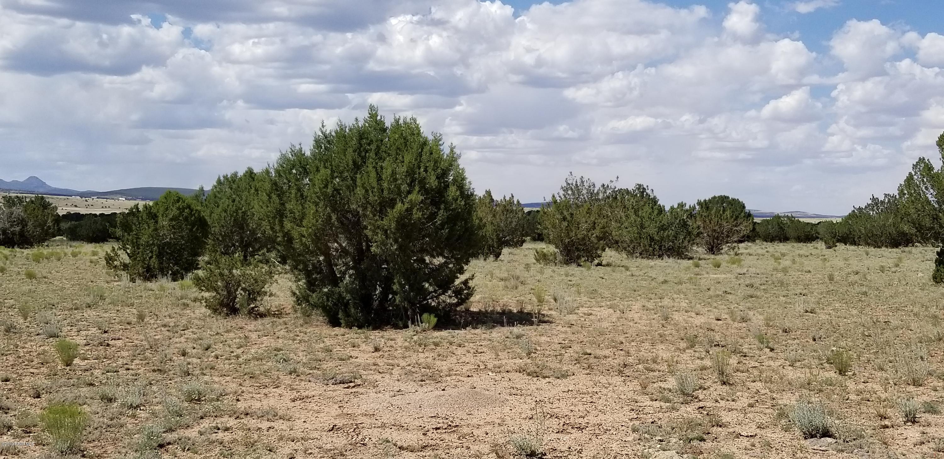 E Antelope Run Road Ash Fork, AZ 86320 - Photo 30 of 57 20190618_145401