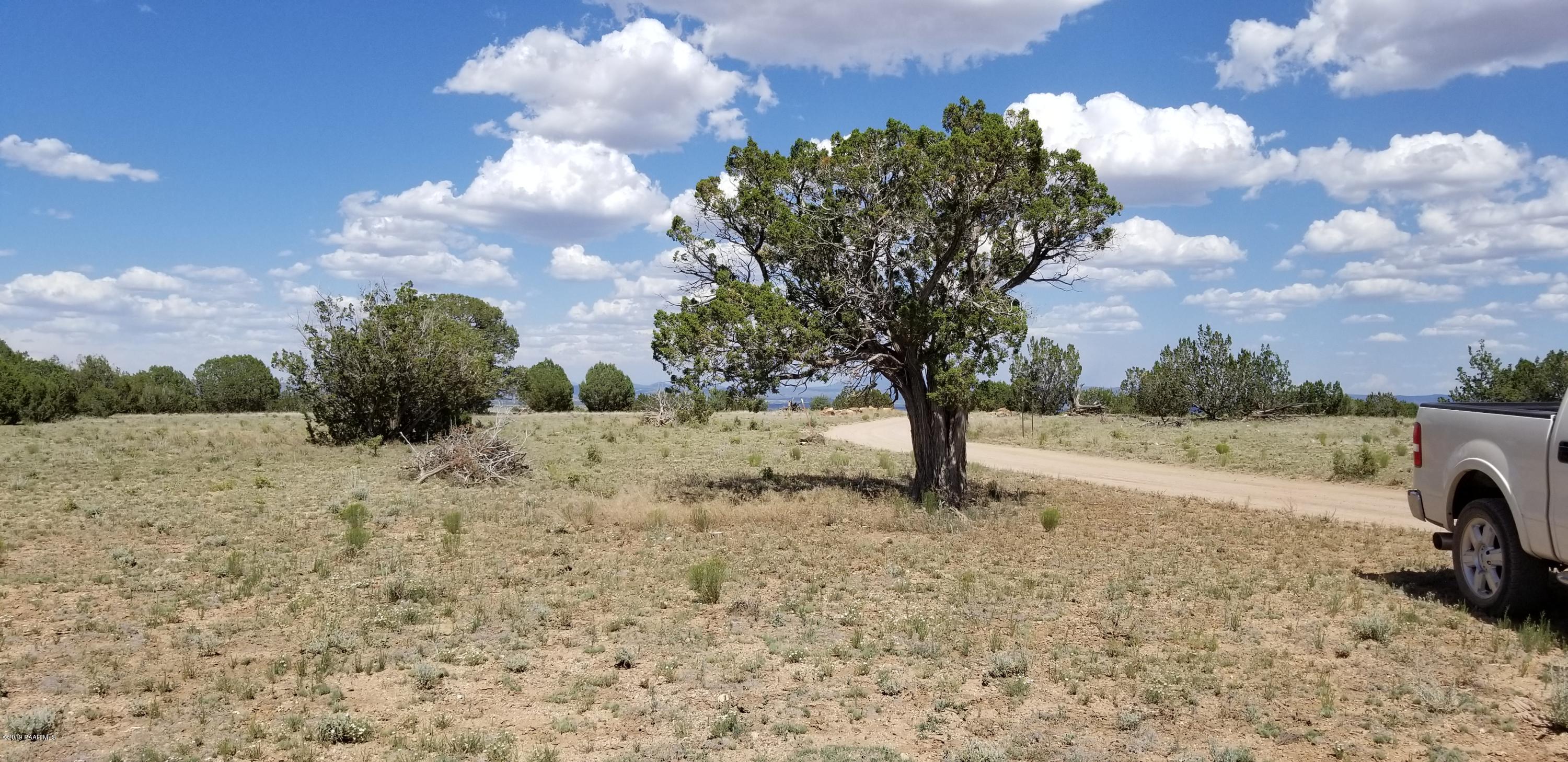 E Antelope Run Road Ash Fork, AZ 86320 - Photo 32 of 57 20190618_145417