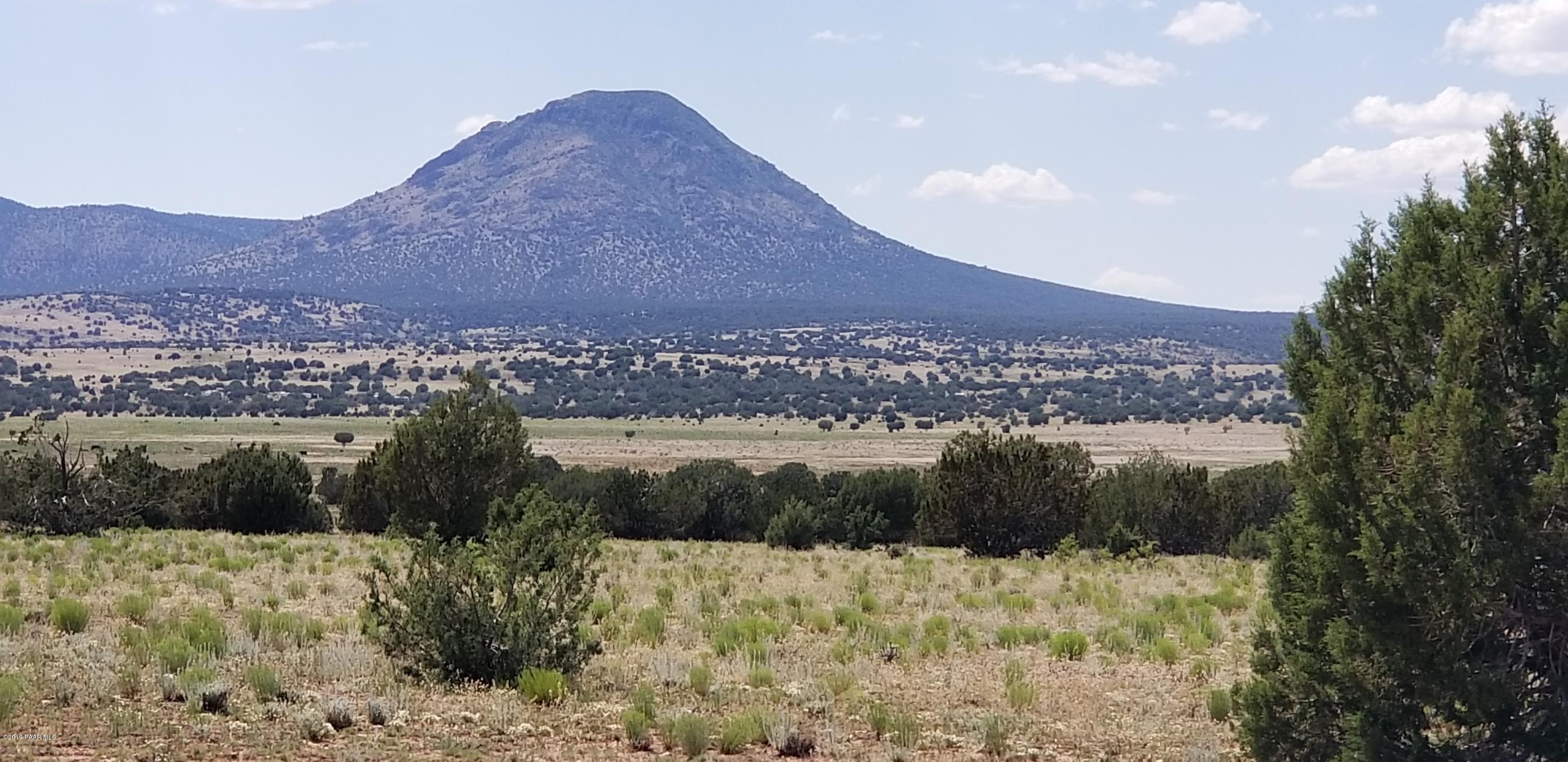 E Antelope Run Road Ash Fork, AZ 86320 - Photo 33 of 57 20190618_145515