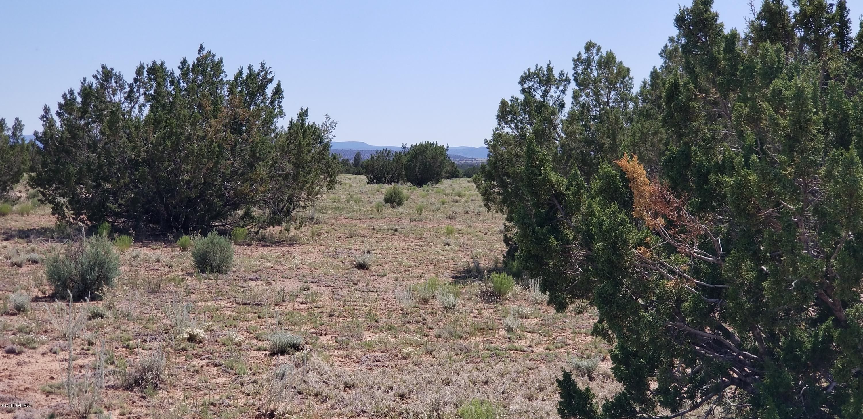E Antelope Run Road Ash Fork, AZ 86320 - Photo 34 of 57 20190618_145522