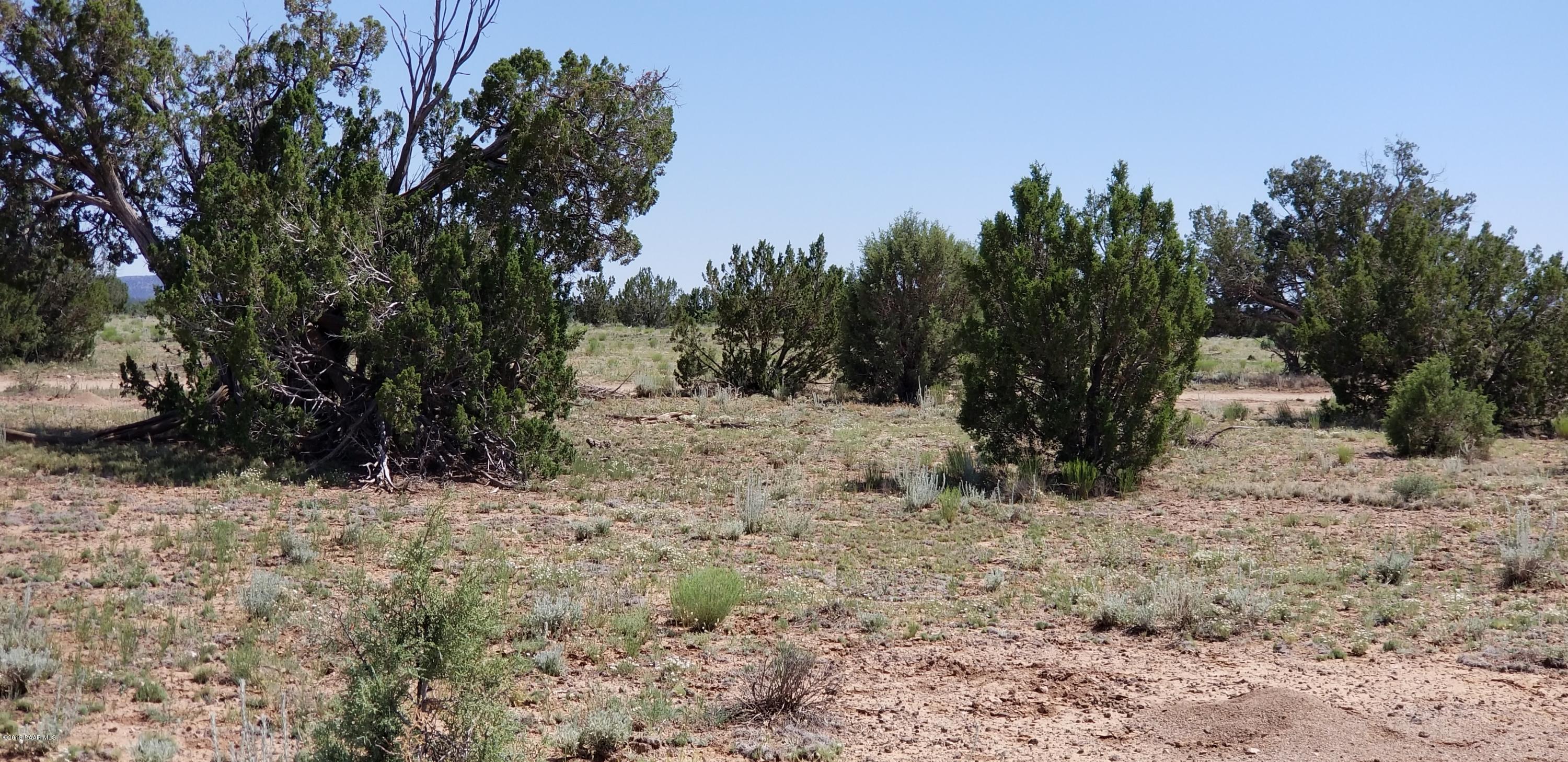 E Antelope Run Road Ash Fork, AZ 86320 - Photo 35 of 57 20190618_145524