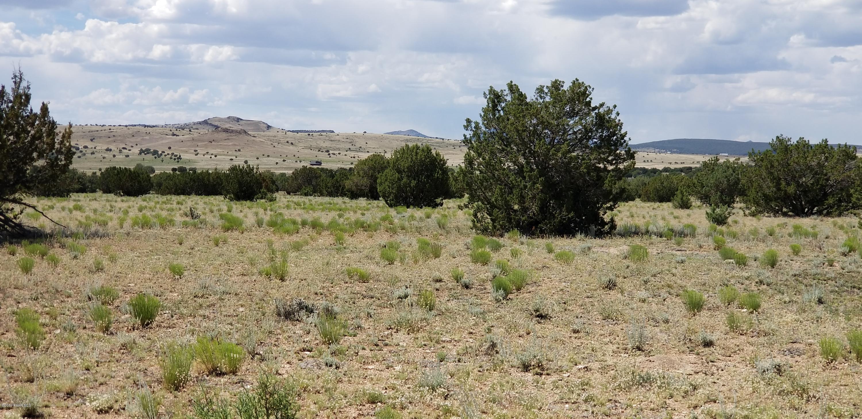 E Antelope Run Road Ash Fork, AZ 86320 - Photo 36 of 57 20190618_145532