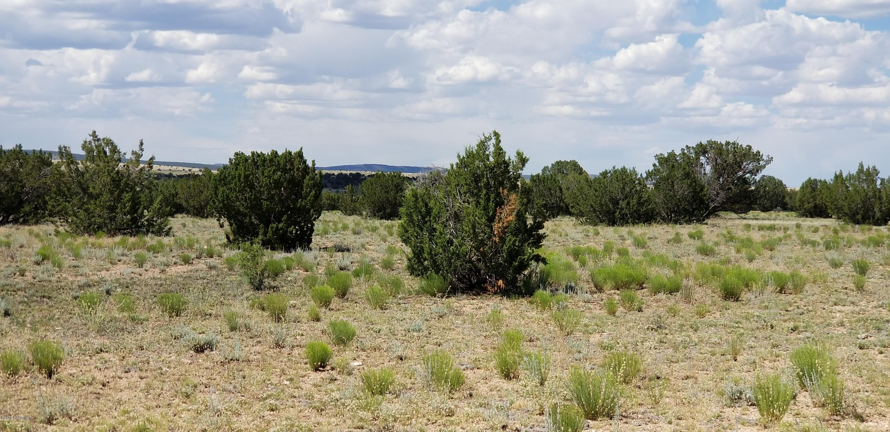 E Antelope Run Road Ash Fork, AZ 86320 - Photo 37 of 57 20190618_145534