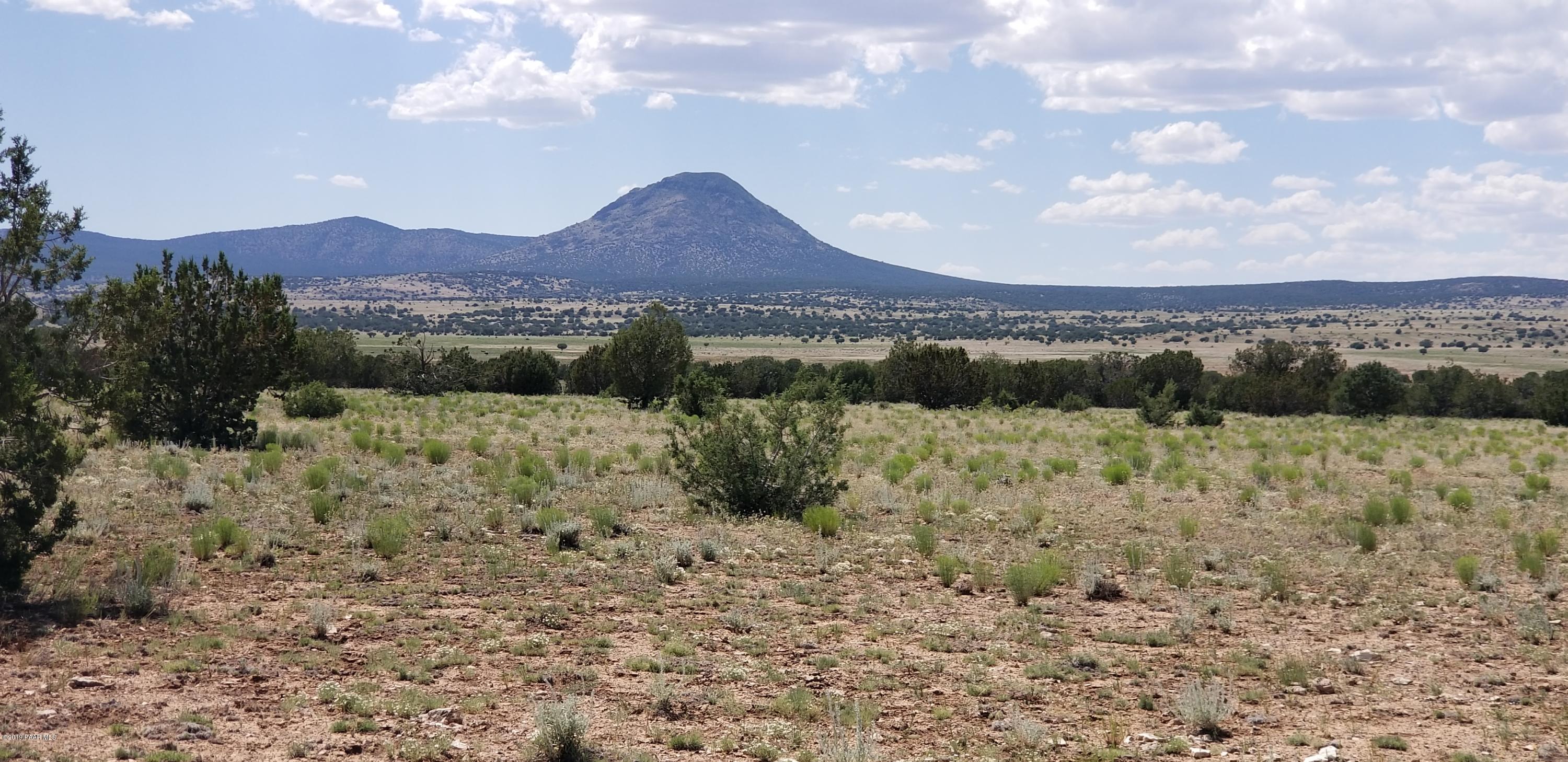 E Antelope Run Road Ash Fork, AZ 86320 - Photo 38 of 57 20190618_145548