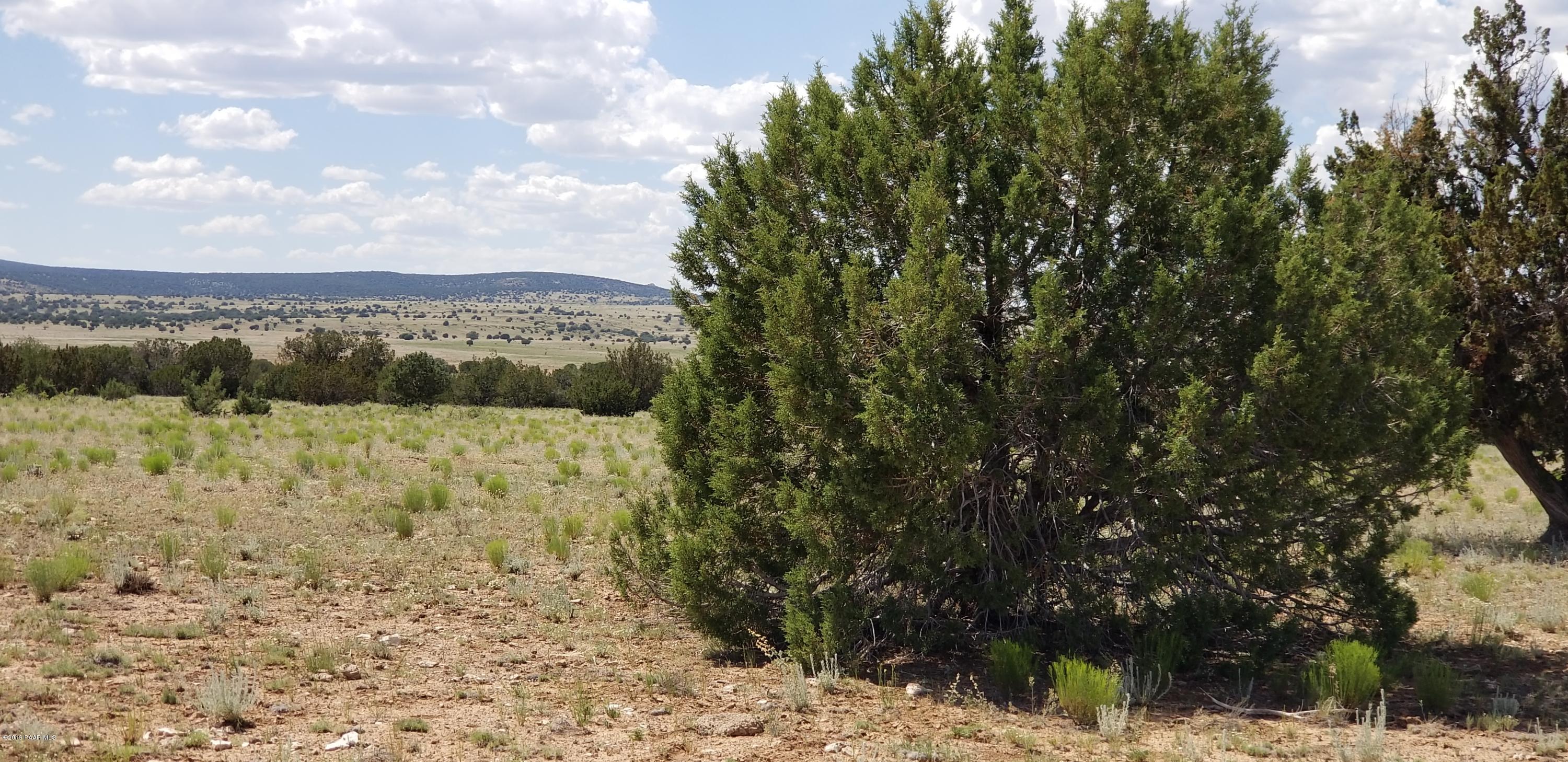 E Antelope Run Road Ash Fork, AZ 86320 - Photo 39 of 57 20190618_145550