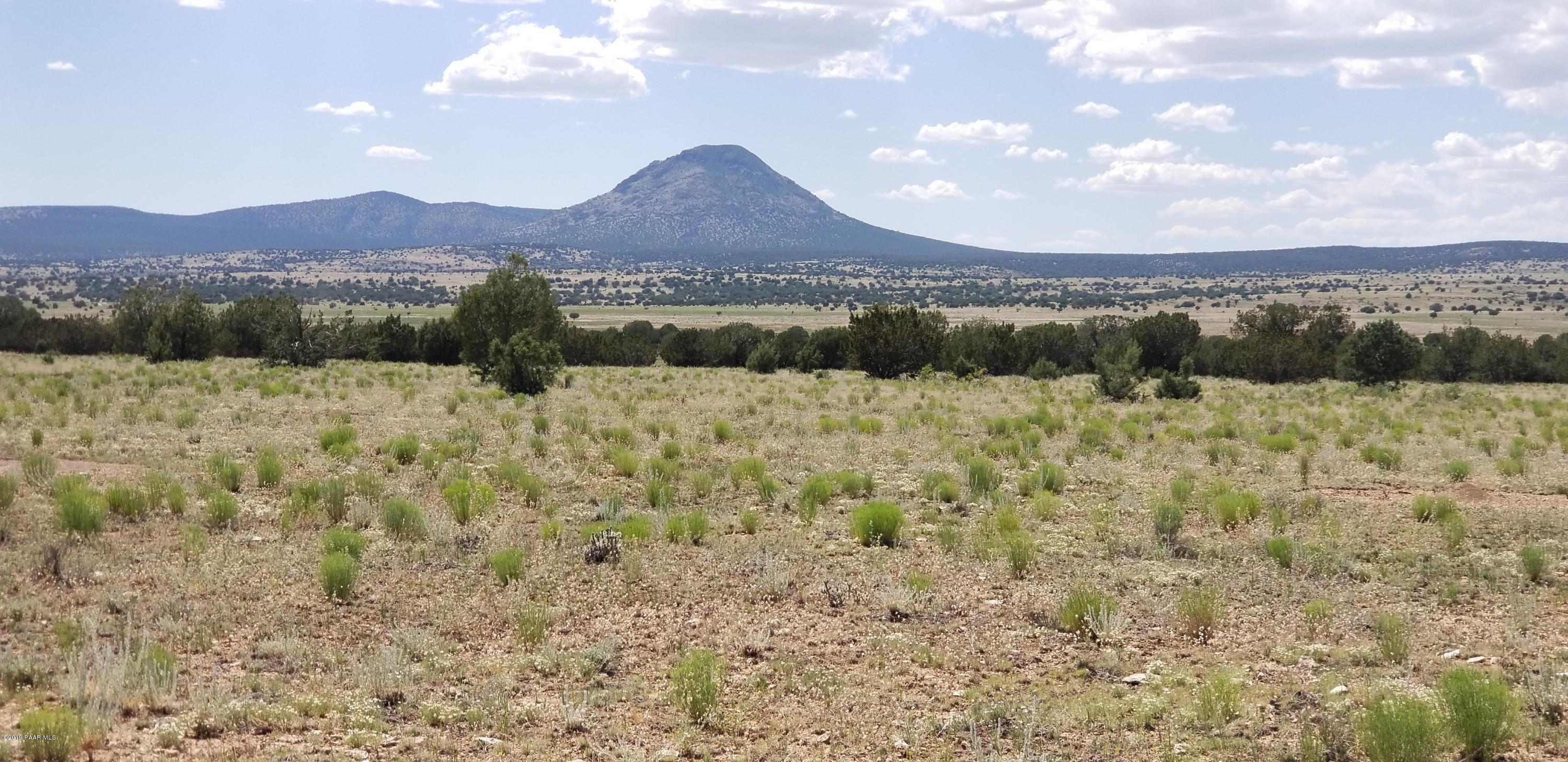 E Antelope Run Road Ash Fork, AZ 86320 - Photo 40 of 57 20190618_145802
